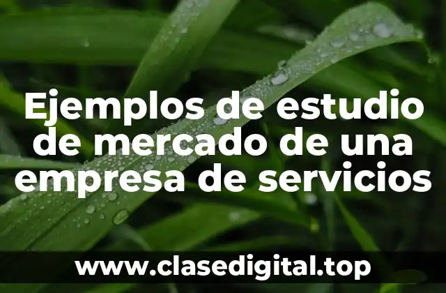Ejemplos de estudio de mercado de una empresa de servicios