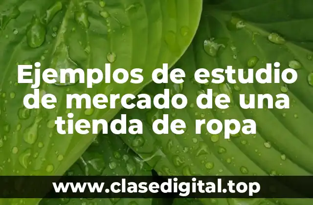 Ejemplos de estudio de mercado de una tienda de ropa