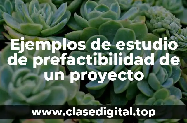 Ejemplos de estudio de prefactibilidad de un proyecto