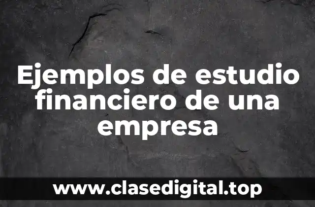 Ejemplos de estudio financiero de una empresa