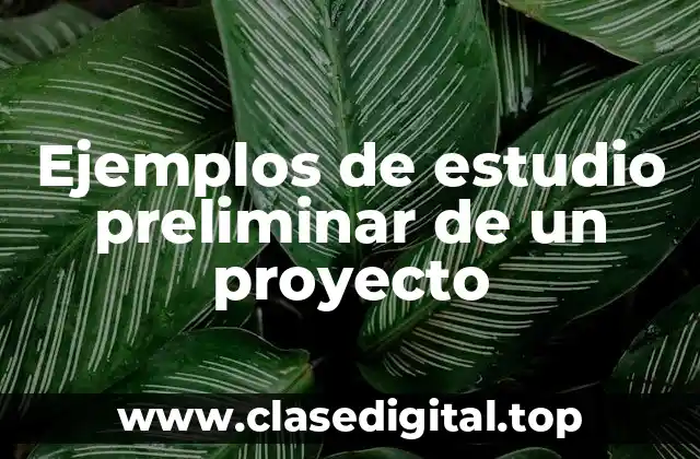 Ejemplos de estudio preliminar de un proyecto