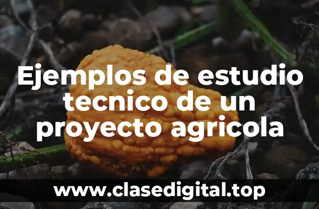 Ejemplos de estudio tecnico de un proyecto agricola