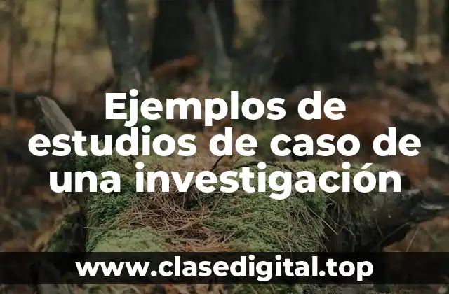 Ejemplos de estudios de caso de una investigación