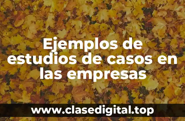 Ejemplos de estudios de casos en las empresas