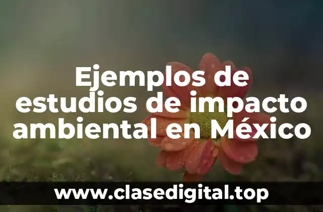 Ejemplos de estudios de impacto ambiental en México