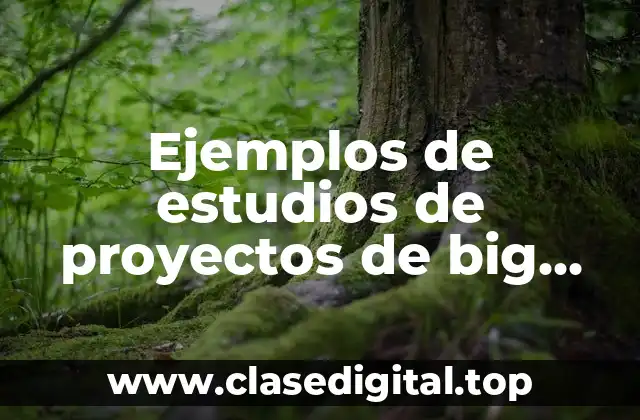 Ejemplos de estudios de proyectos de big data