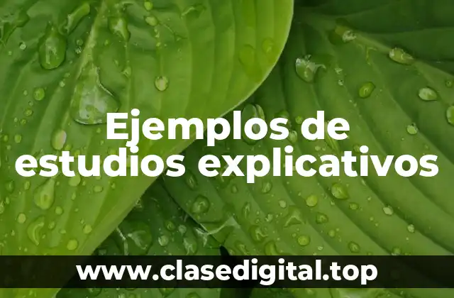 Ejemplos de estudios explicativos