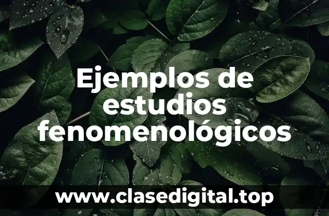 Ejemplos de estudios fenomenológicos