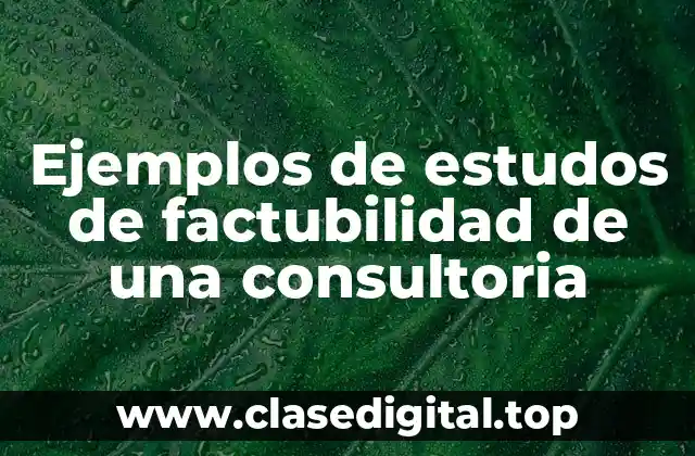 Ejemplos de estudos de factubilidad de una consultoria