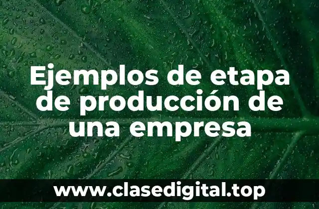 Ejemplos de etapa de producción de una empresa