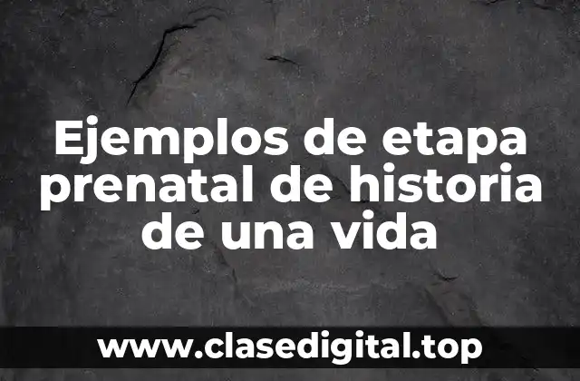 Ejemplos de etapa prenatal de historia de una vida