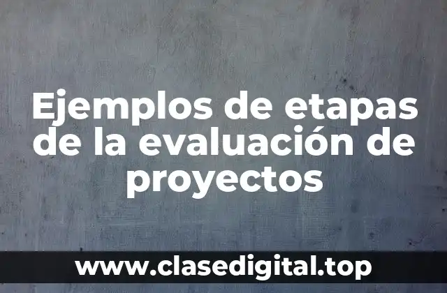Ejemplos de etapas de la evaluación de proyectos
