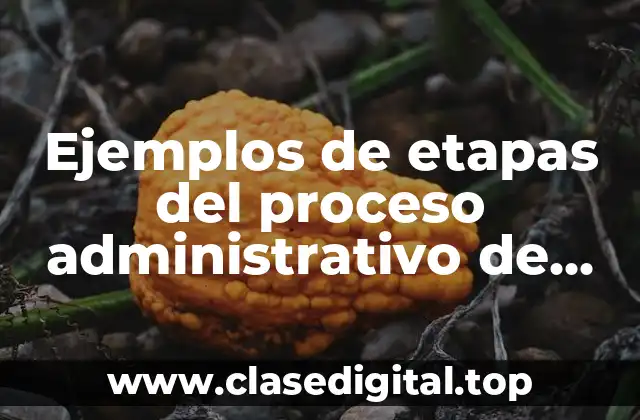 Ejemplos de etapas del proceso administrativo de dirección de