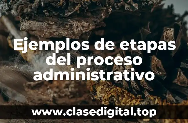 Ejemplos de etapas del proceso administrativo