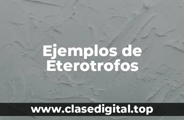 Ejemplos de Eterotrofos