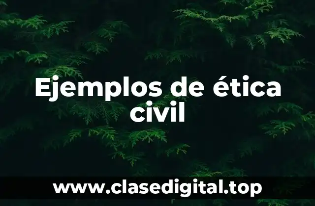 Ejemplos de ética civil