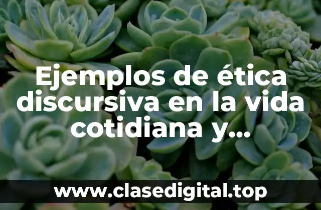 Ejemplos de ética discursiva en la vida cotidiana y Significado
