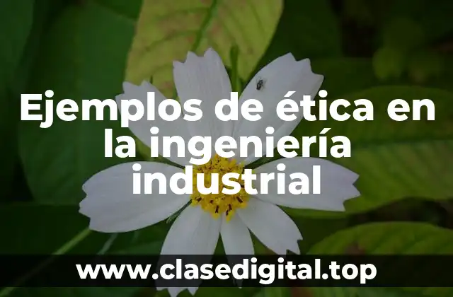 Ejemplos de ética en la ingeniería industrial