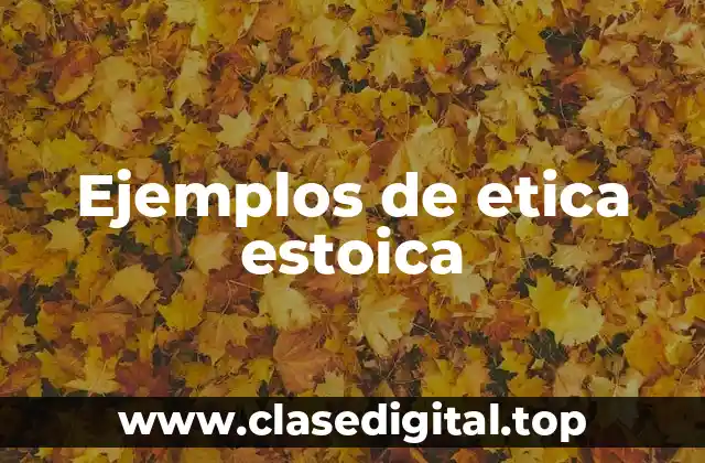 Ejemplos de etica estoica