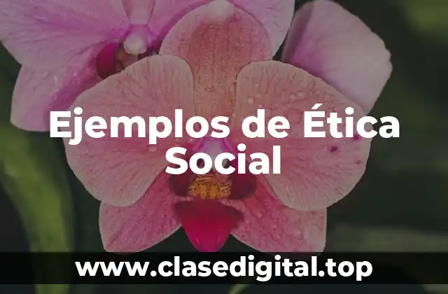 Ejemplos de Ética Social