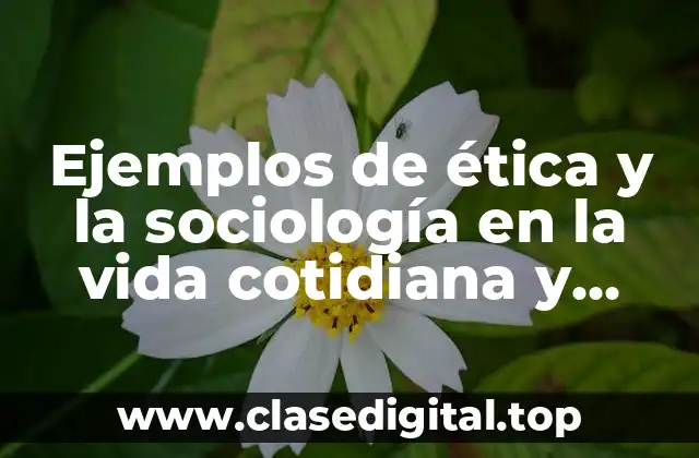 Ejemplos de ética y sociología en la vida cotidiana