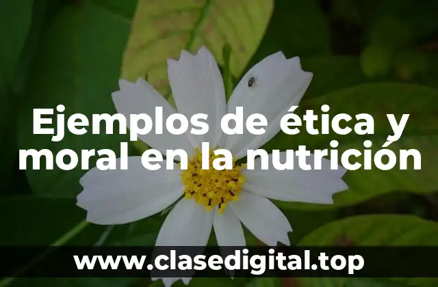 Ejemplos de ética y moral en la nutrición