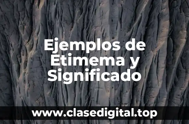 Ejemplos de Etimema