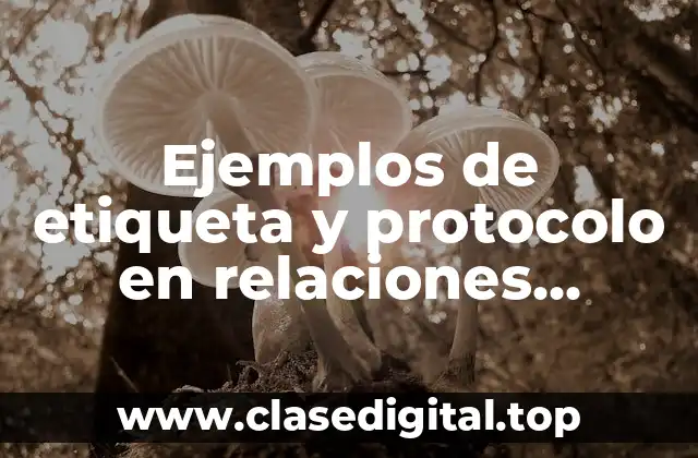Ejemplos de etiqueta y protocolo en relaciones públicas