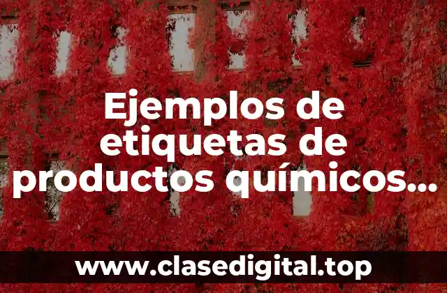 Ejemplos de etiquetas de productos químicos NOM