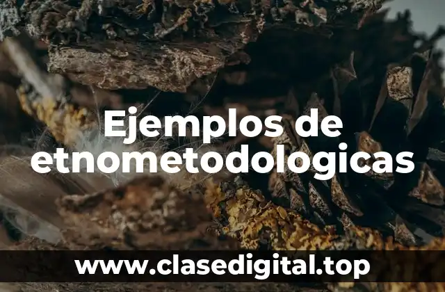 Ejemplos de etnometodologicas