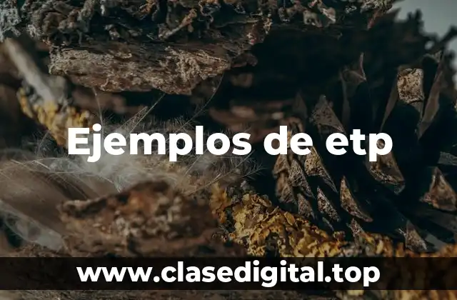 Ejemplos de etp