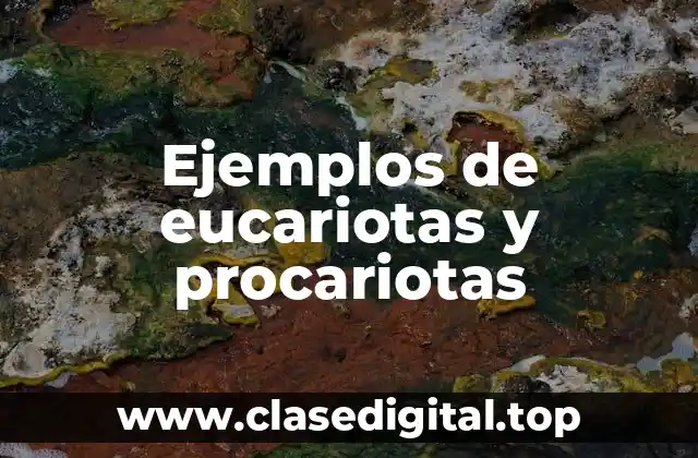 Ejemplos de eucariotas y procariotas