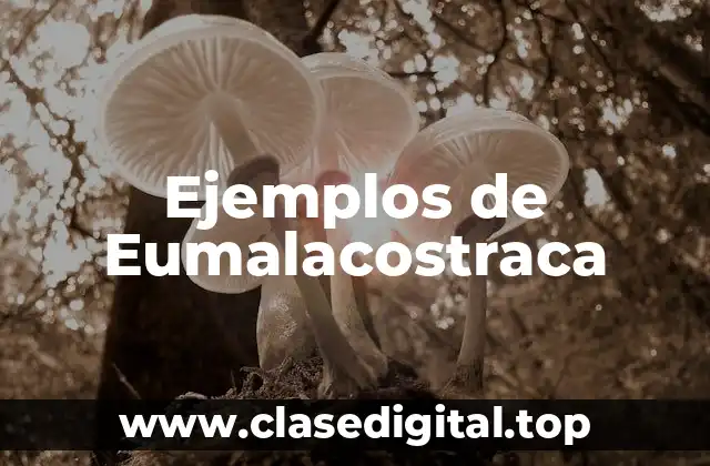 Ejemplos de Eumalacostraca