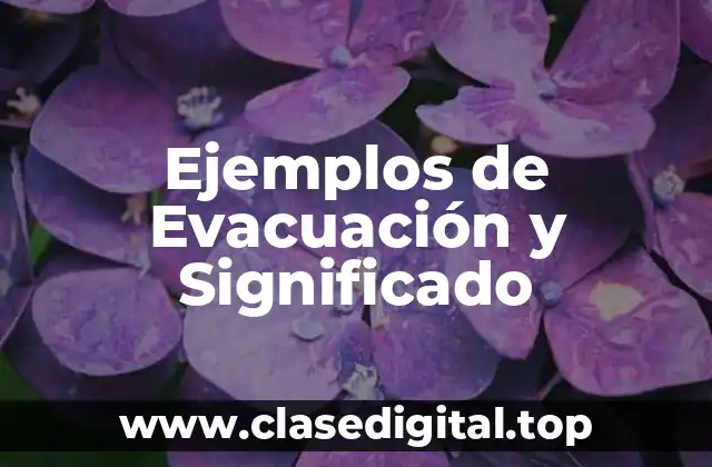 Ejemplos de Evacuación y Significado