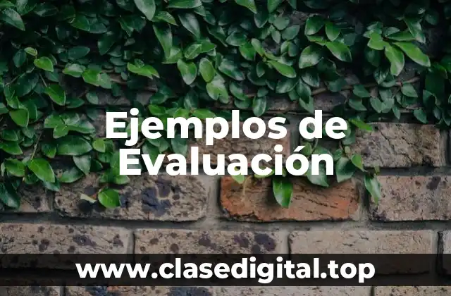 Ejemplos de Evaluación