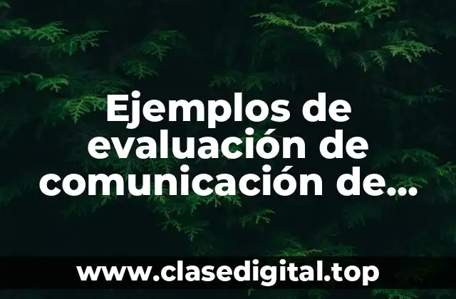Ejemplos de evaluación de comunicación de una institución y Significado