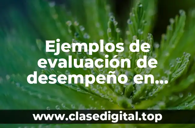 Ejemplos de evaluación de desempeño en preescolar sobre aprendizajes clave