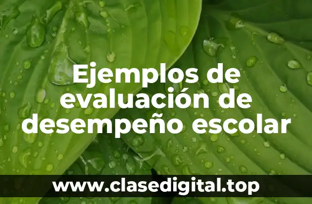 Ejemplos de evaluación de desempeño escolar