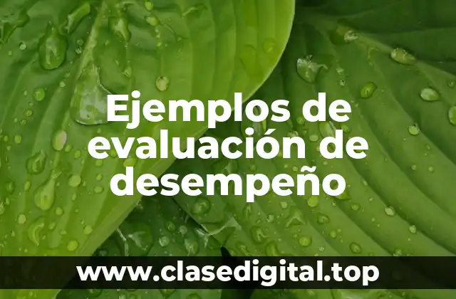 Ejemplos de evaluación de desempeño