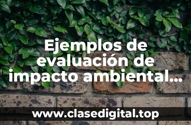 Ejemplos de evaluación de impacto ambiental en Nicaragua y Significado