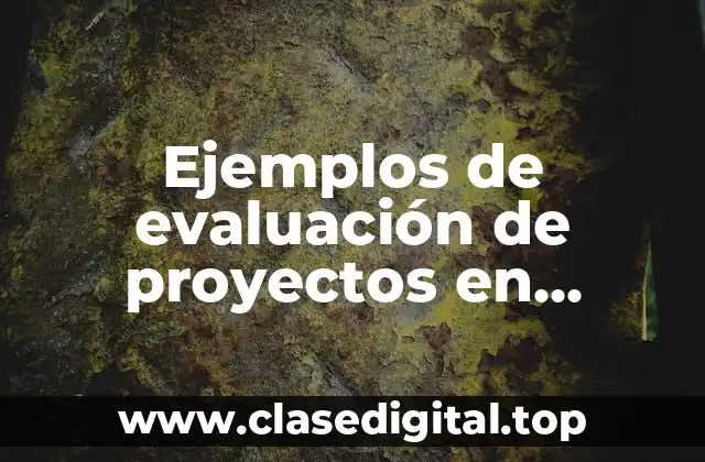 Ejemplos de evaluación de proyectos en ingeniería e infraestructura y Significado