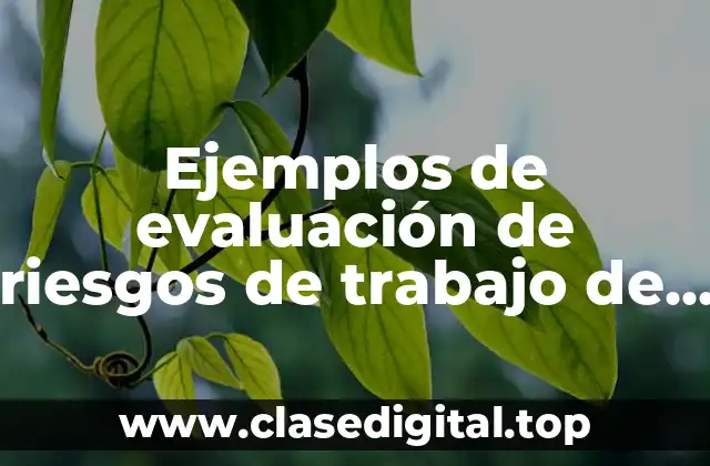 Ejemplos de evaluación de riesgos de trabajo de una empresa