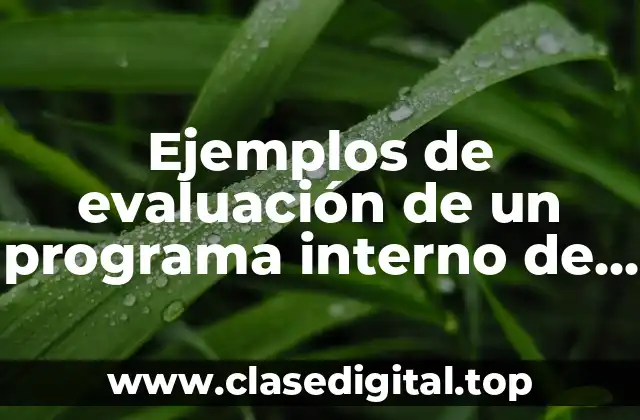 Ejemplos de evaluación de un programa interno de protección civil