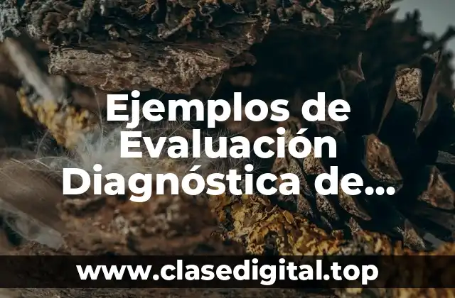 Ejemplos de Evaluación Diagnóstica de Lenguaje y Comunicación
