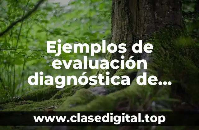 Ejemplos de evaluación diagnóstica de primaria educación física