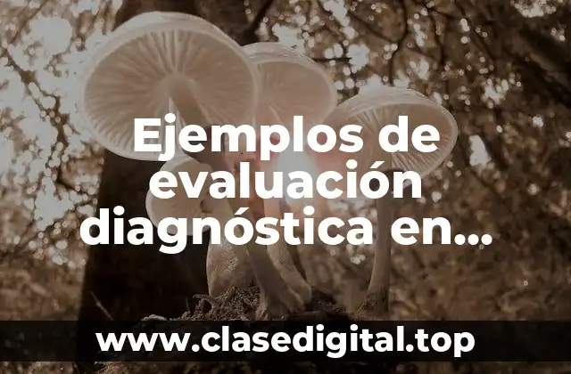 Ejemplos de evaluación diagnóstica en primaria