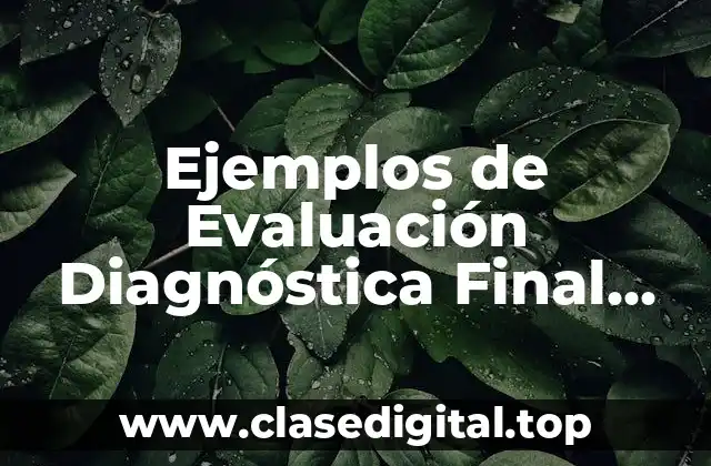 Ejemplos de Evaluación Diagnóstica Final por Campos Preescolar