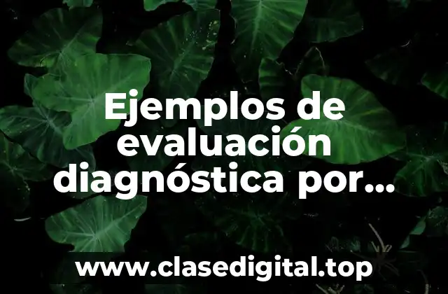 Ejemplos de evaluación diagnóstica por campos formativos