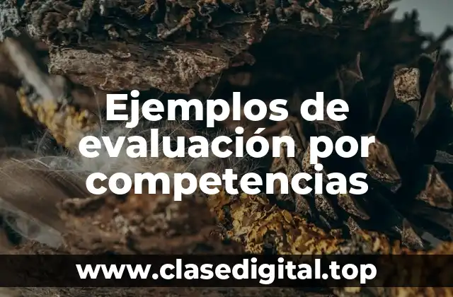 Ejemplos de evaluación por competencias