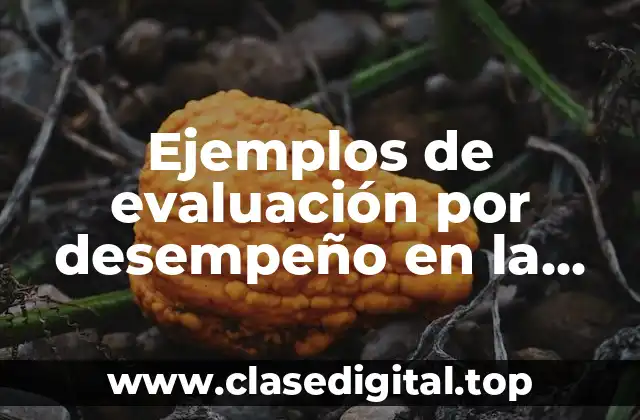 Ejemplos de evaluación por desempeño en la materia de química